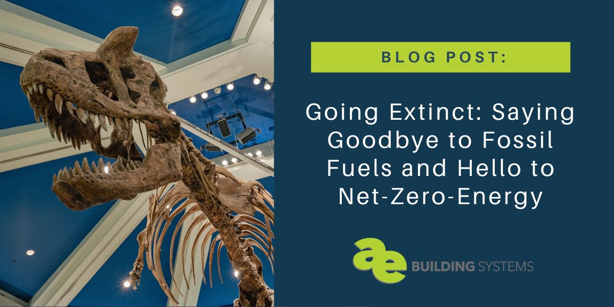 Going Extinct: Saying Goodbye to Fossil Fuels and Hello to Net-Zero-Energy